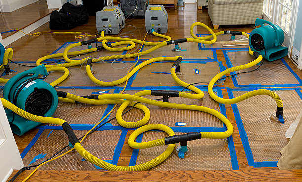 Professional Storm Water Damage Restoration technician working in Newport, DE